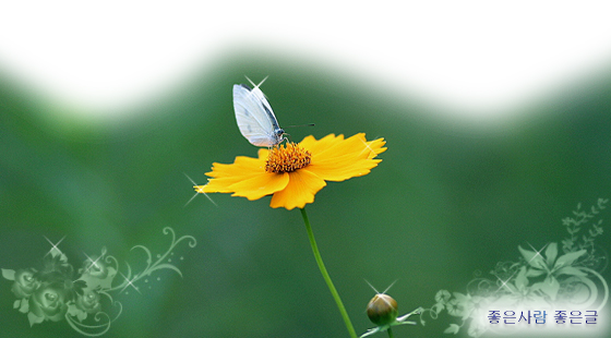 13245C1C49B64F5A3EE4F4