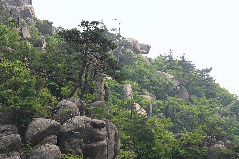 만물상 이미지