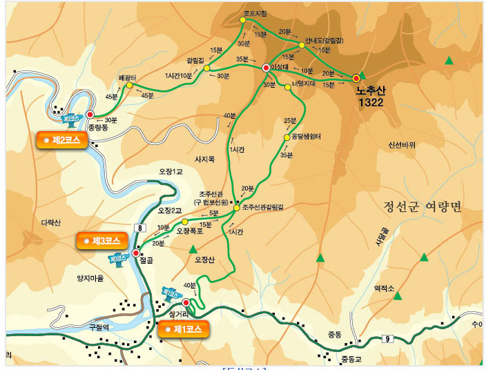 오장전자 이미지
