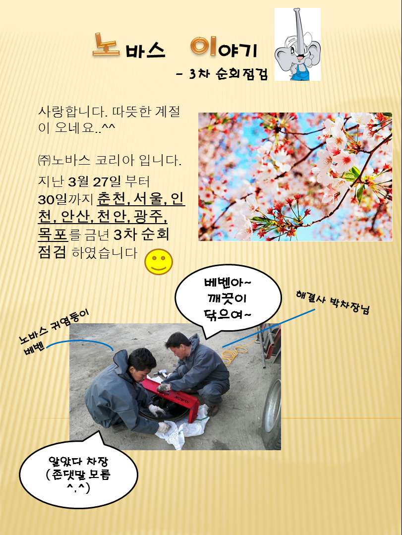 노바스 이미지
