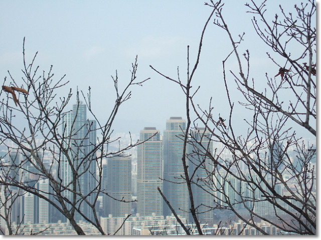 구룡산 정상 이미지