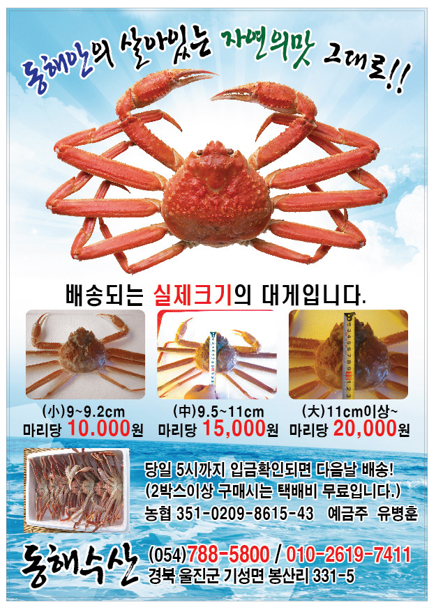 울진대게 이미지