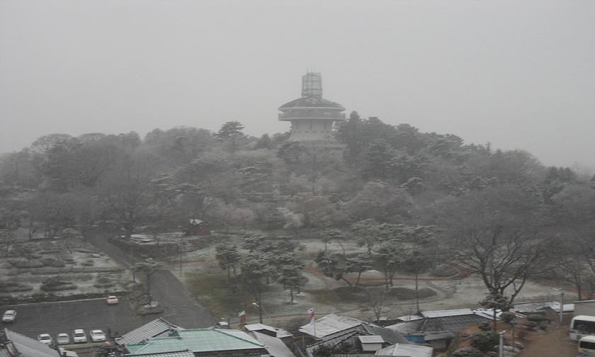 시청뒤에서 이미지