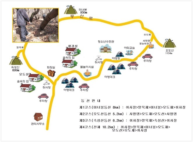 오도산자연휴양림 이미지