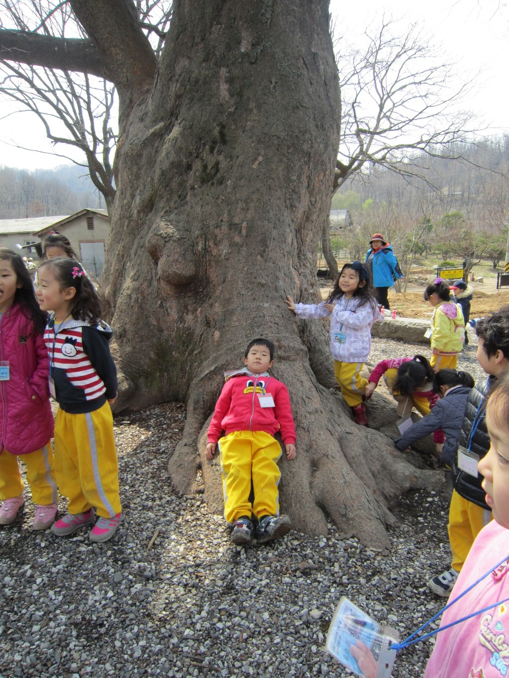시립에스케이테크노파크어린이집 이미지