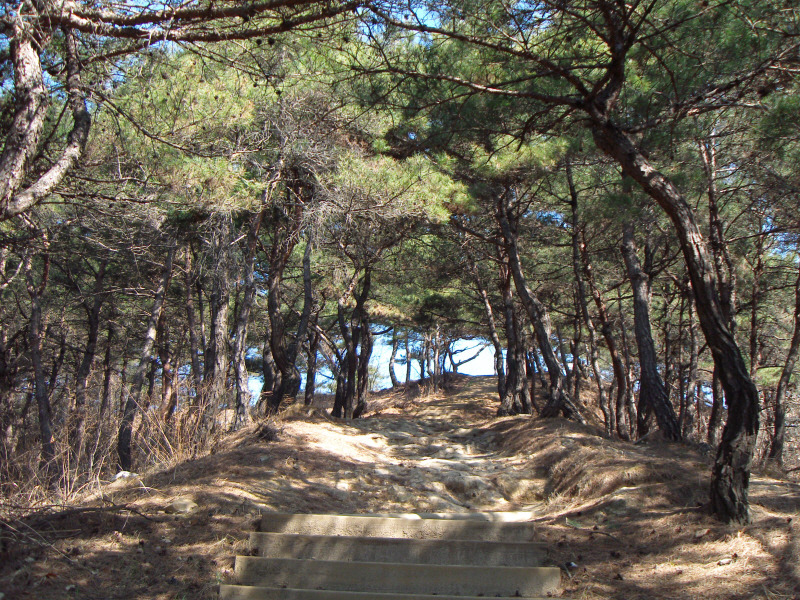 돈달산 이미지
