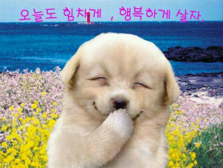 소몰이 이미지