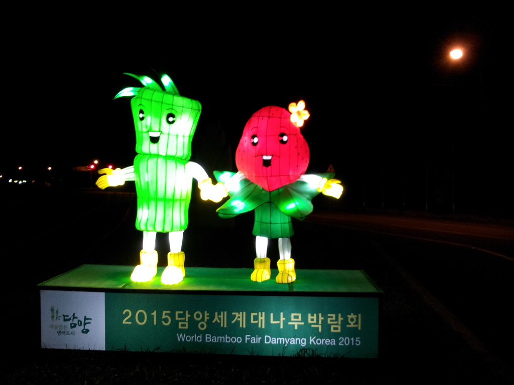 딸리 이미지