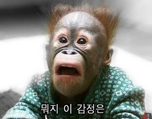 동심 이미지
