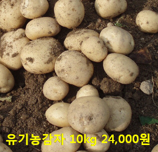 영월떡 이미지