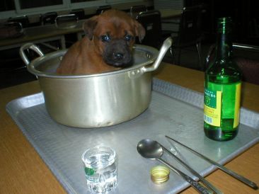 복달이 이미지