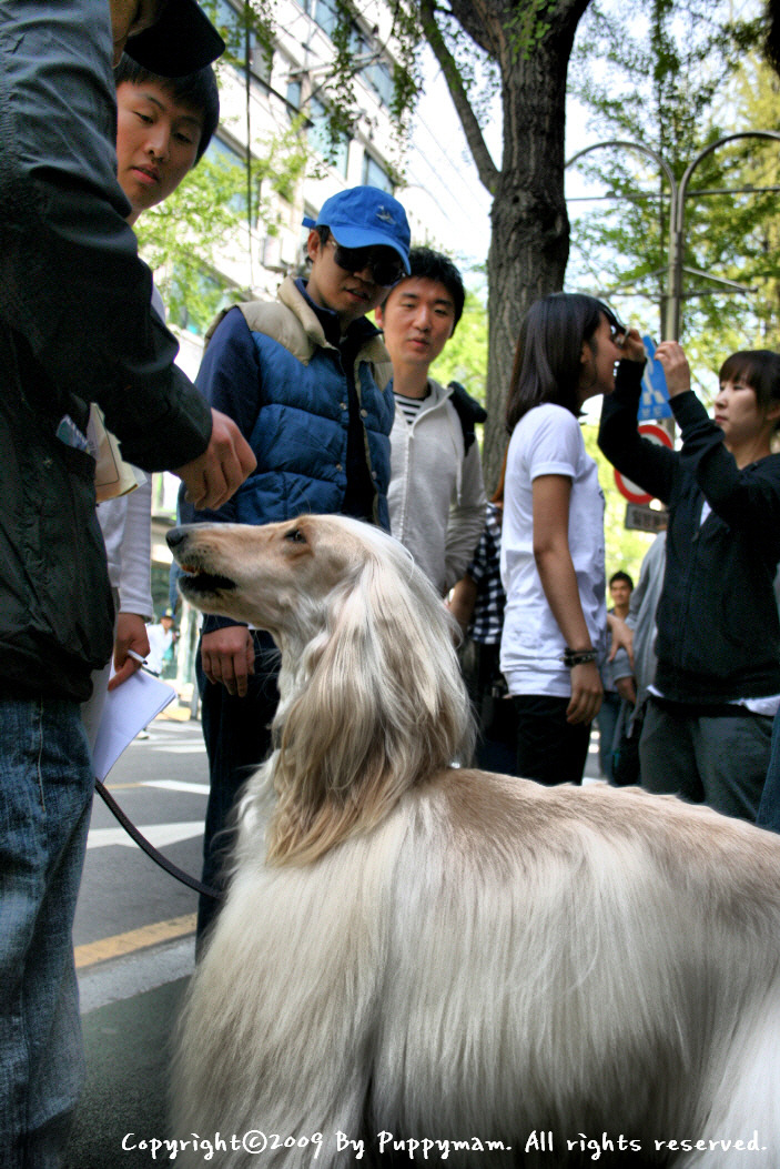 마님 이미지