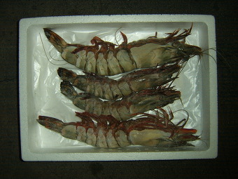 (주)석하 이미지