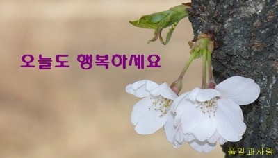 박*주 이미지
