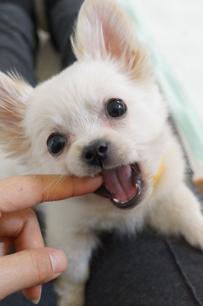예솔헤어 이미지
