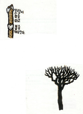 가죽나무 이미지