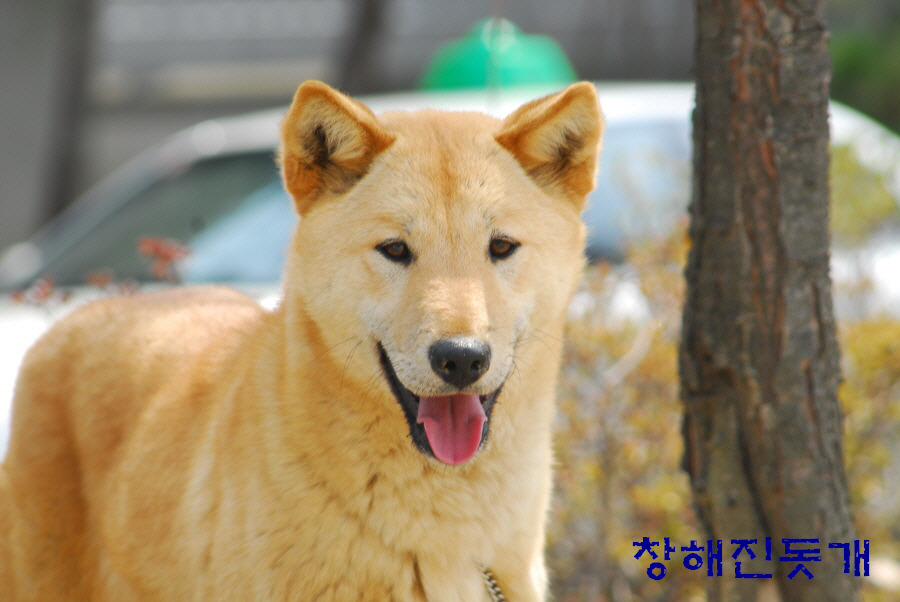 왕미인 이미지