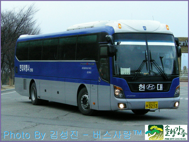 비발디여행사 이미지