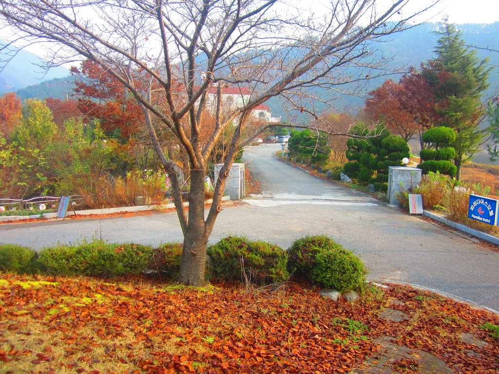 오남초등학교 이미지