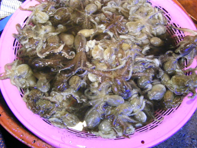 원조마산아구찜 이미지
