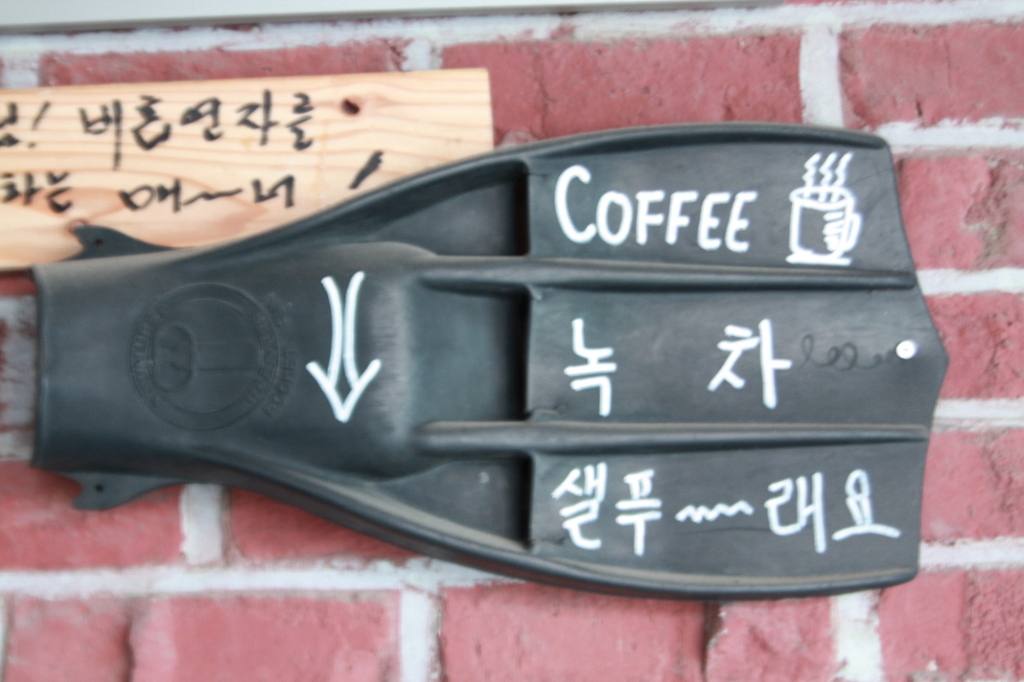 스쿠버해양캠프 이미지
