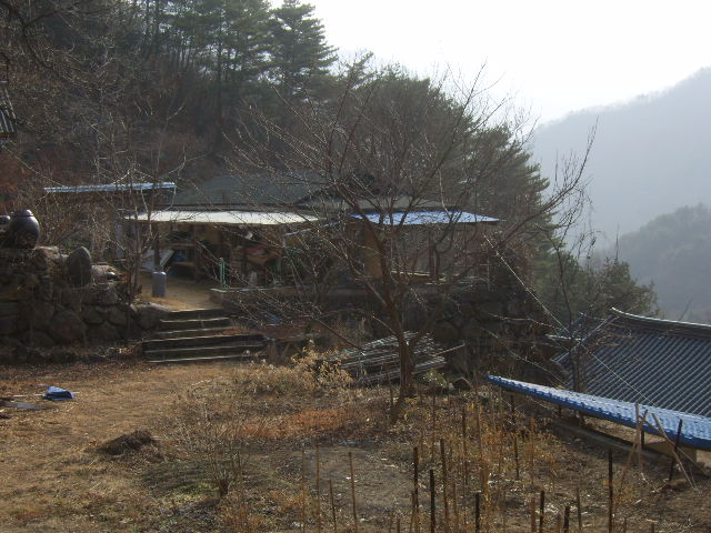 하동약초 이미지