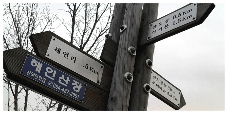 파란문 이미지