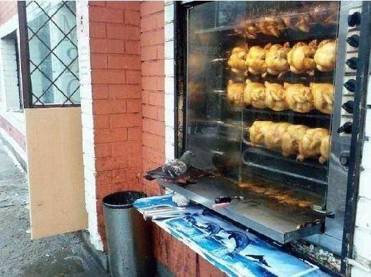 매니아 이미지