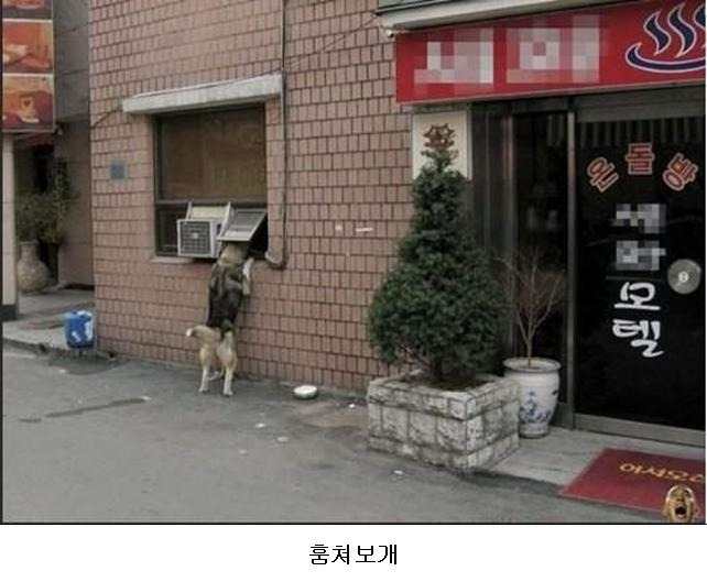 깔깔깔 이미지
