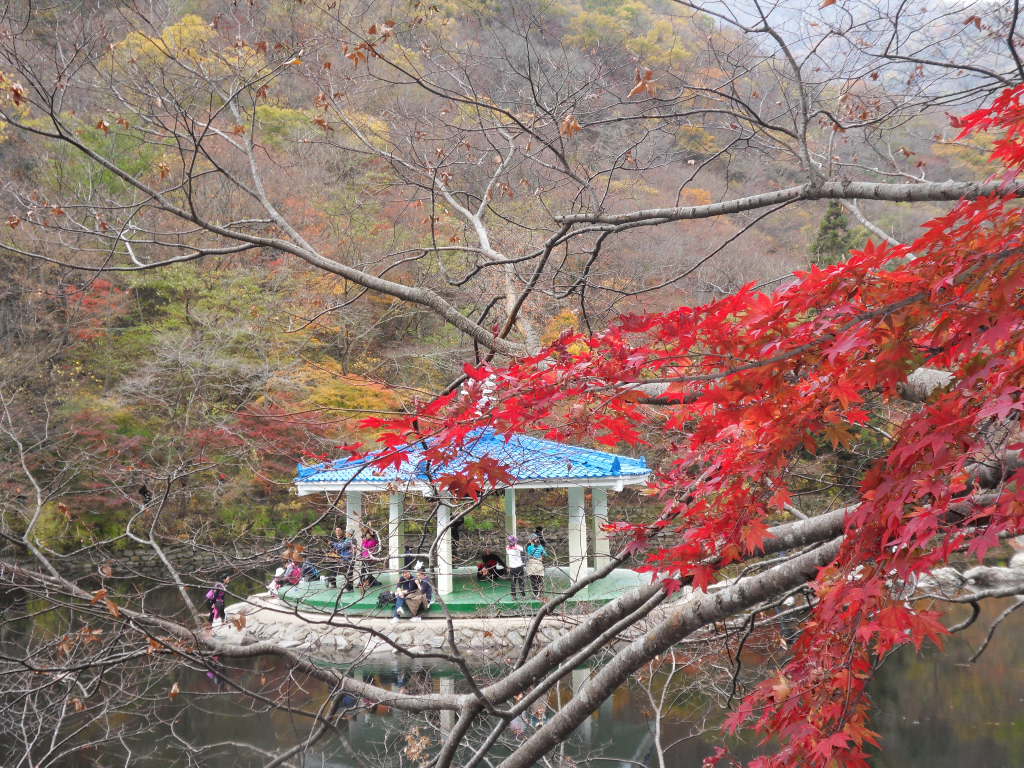 맘사랑 이미지