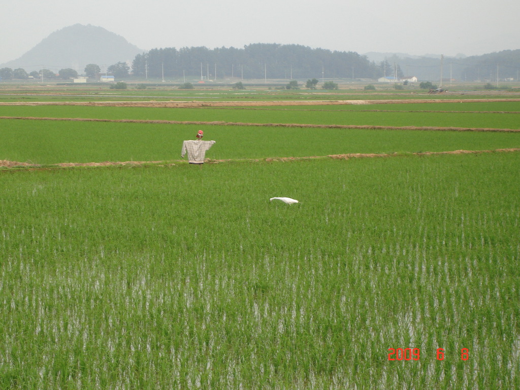 덕산방 이미지