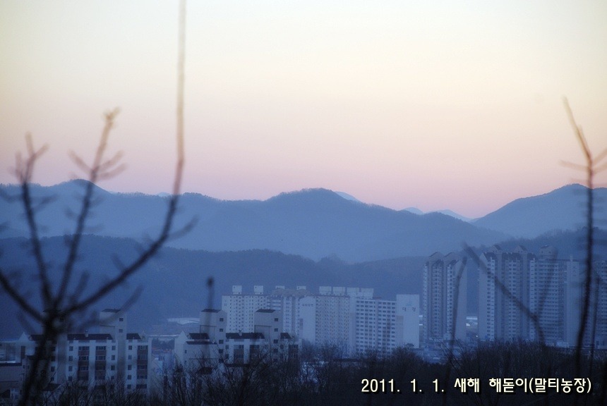 말띠농원 이미지