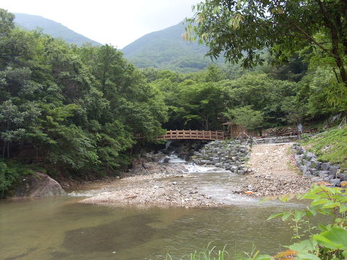 대운산자연휴양림 이미지