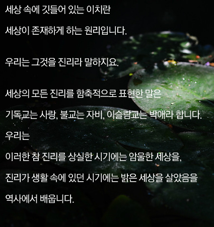 우물밖개구리 이미지