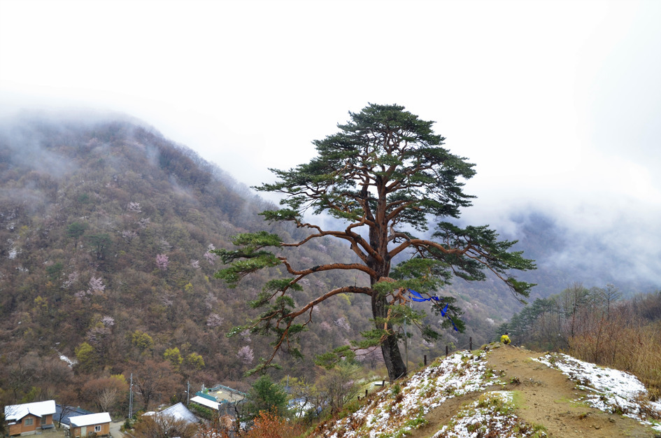 지리산내음 이미지