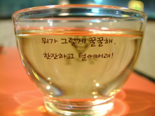 놀지 이미지