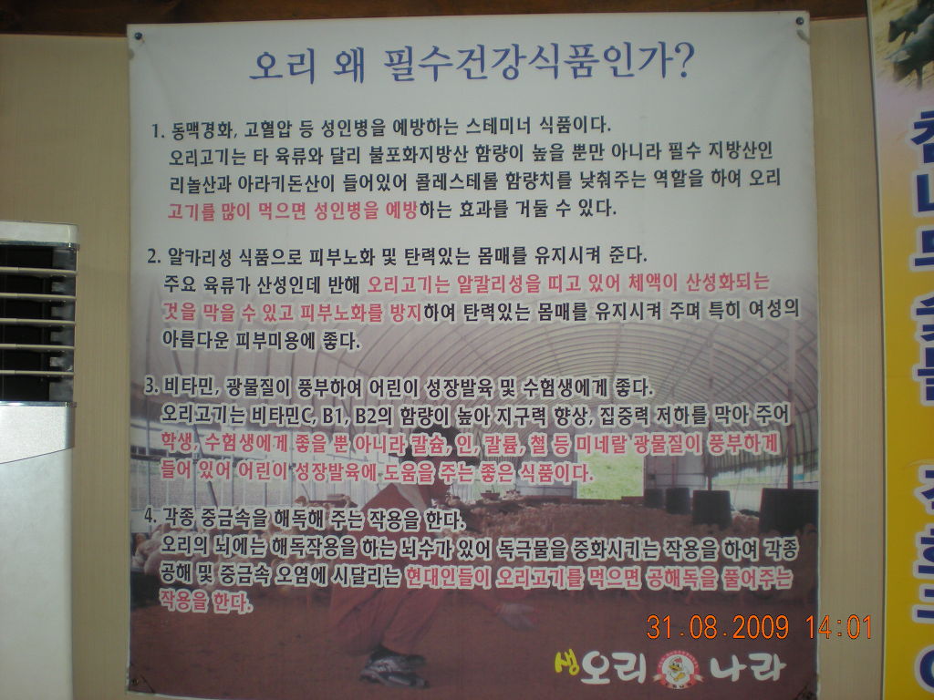 오리나라 이미지