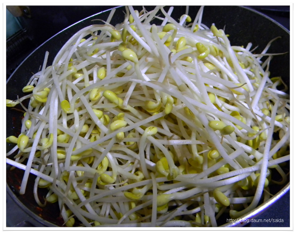 콩불 이미지