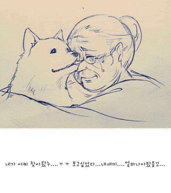 실화라서 더 슬프다.. | 인스티즈