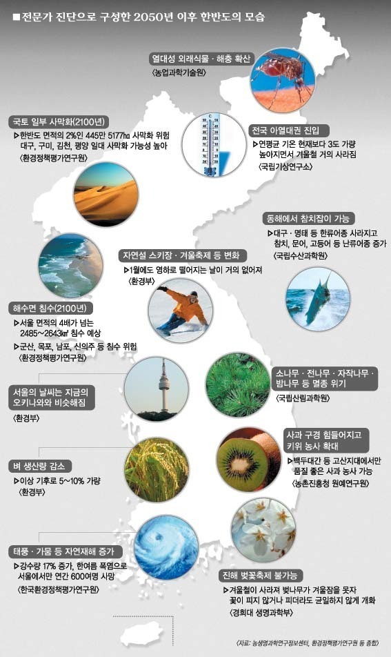 2050년의 대한민국 | 인스티즈