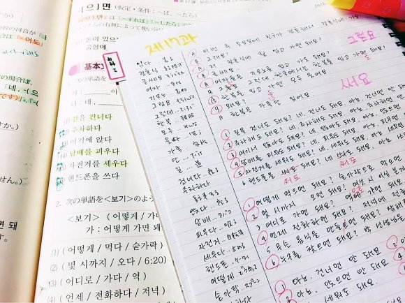 외국인들의 한국어 공부 | 인스티즈