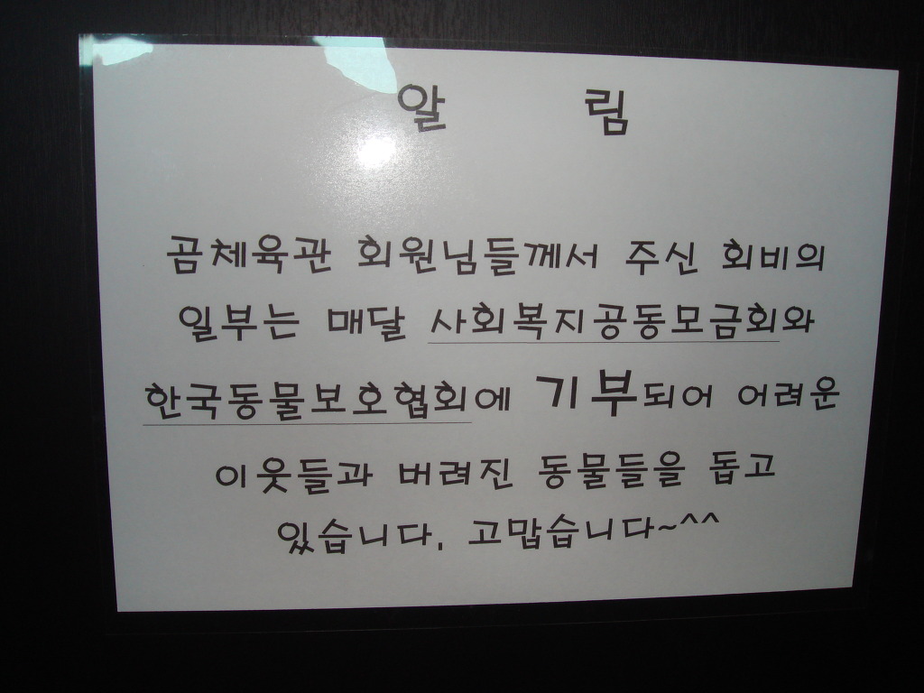 곰체육관 이미지