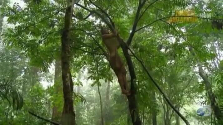 [NakedandAfraid] 벌거벗고 정글에서 살아남기 s2e1-1 | 인스티즈
