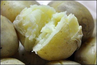 이거 다 먹어봤으면 전국구 보스 인정 도전자여 들어와보새오 | 인스티즈