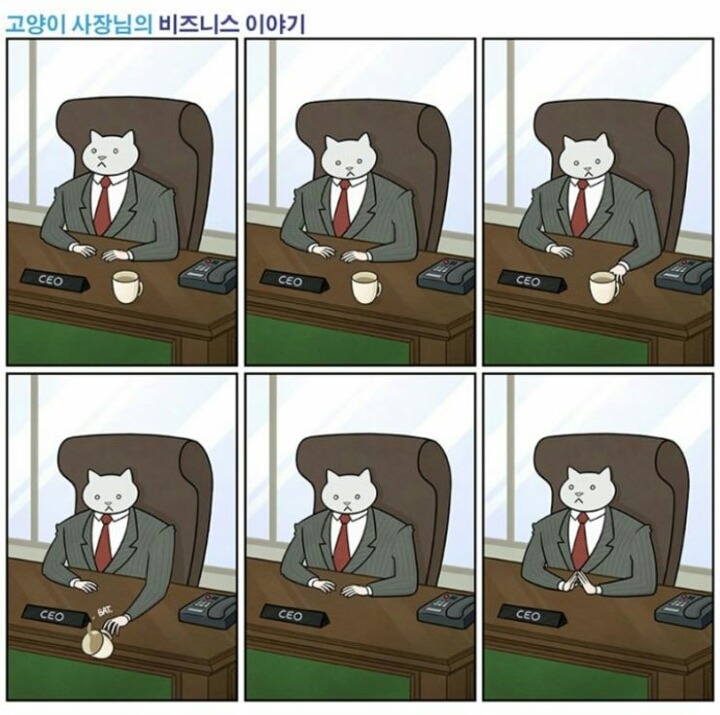만약 고양이가 사장님이라면.jpg | 인스티즈