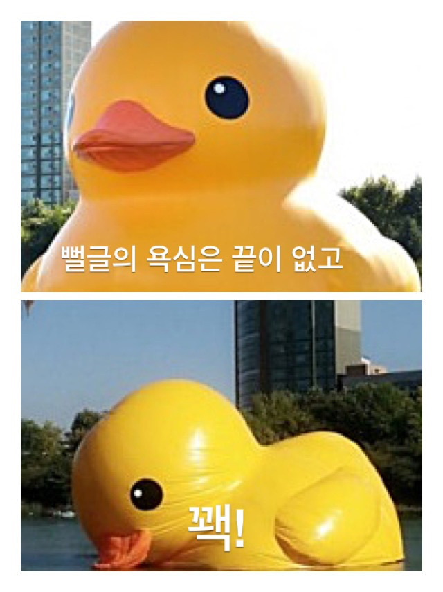 [다음클린정신차려라] 전 다음클린이 두렵지 않습니다 | 인스티즈