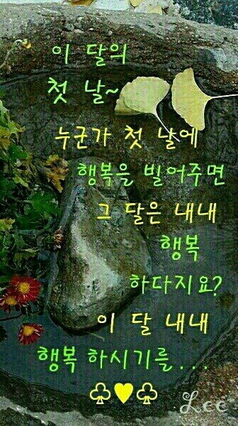 묻지마관광 이미지