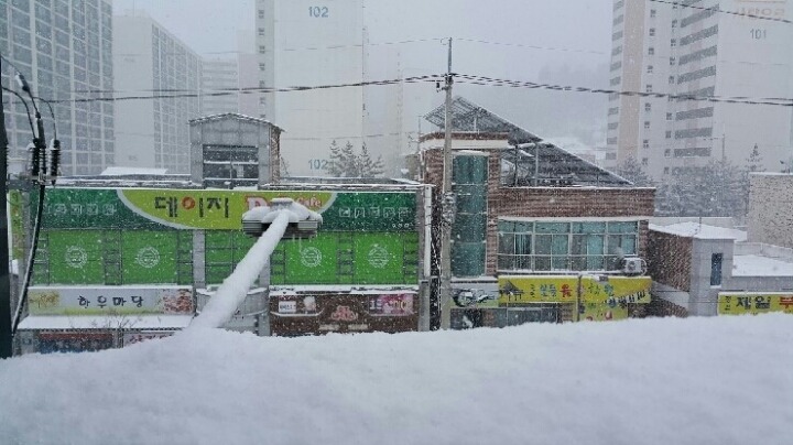 눈이 녹기도 전에 눈이 또 내린 전북 정읍.jpg | 인스티즈