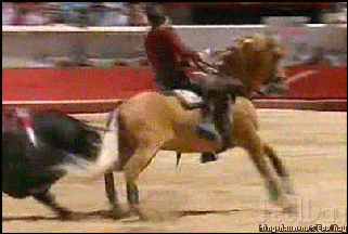 350억짜리 명마 | 인스티즈