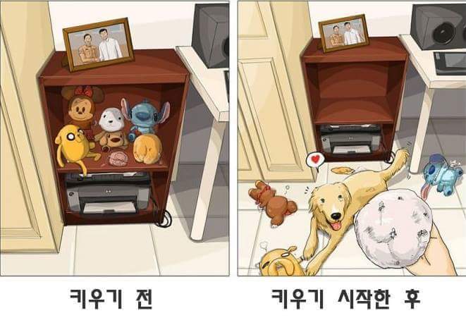 애완동물 키우기 전과 후 | 인스티즈